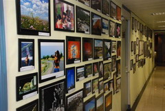 金沙(61665·JS认证)娱场城-Macau Store