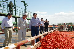 金沙(61665·JS认证)娱场城-Macau Store