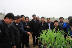 金沙(61665·JS认证)娱场城-Macau Store