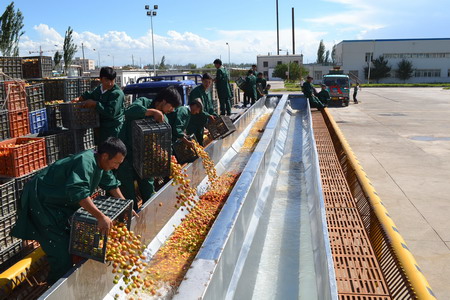 金沙(61665·JS认证)娱场城-Macau Store