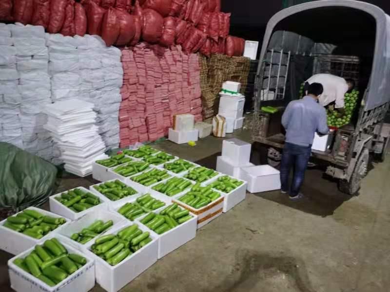金沙(61665·JS认证)娱场城-Macau Store