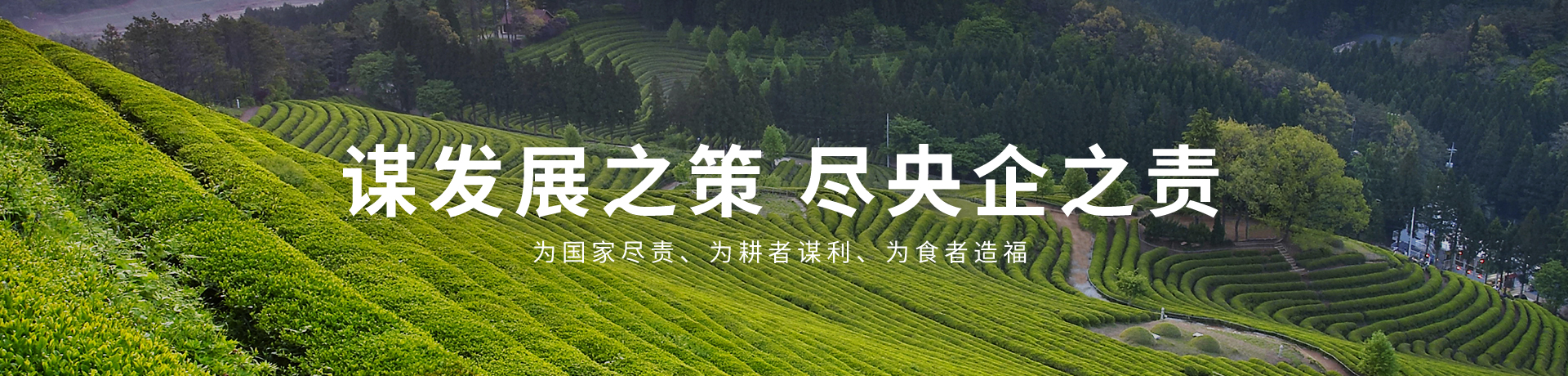 金沙(61665·JS认证)娱场城-Macau Store